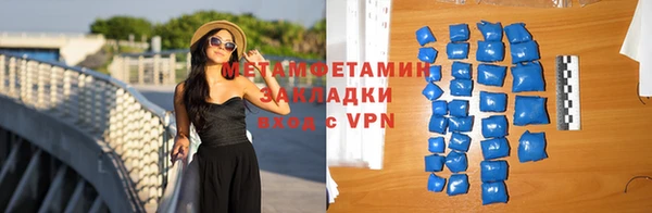 прущие грибы Сосновый Бор