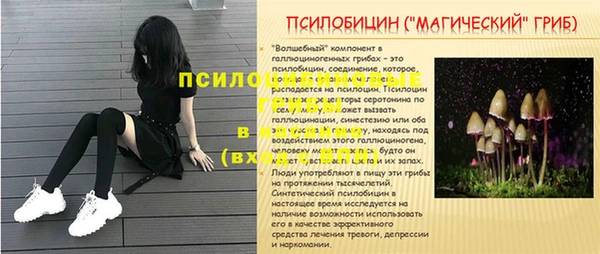 трава Березники