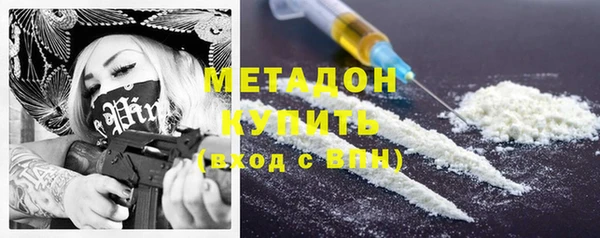 прущие грибы Сосновый Бор
