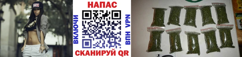 Бошки Шишки SATIVA & INDICA  продажа наркотиков  Ак-Довурак 